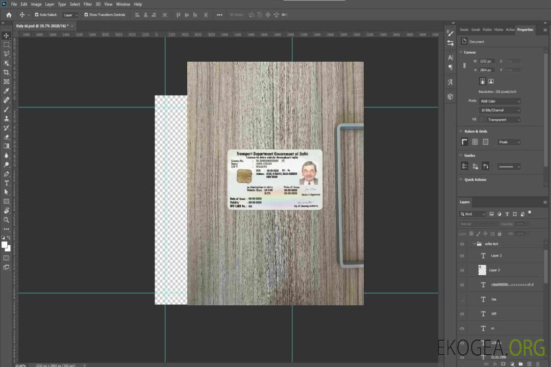 Permis de conduire Inde (Delhi) photolook AVANT template